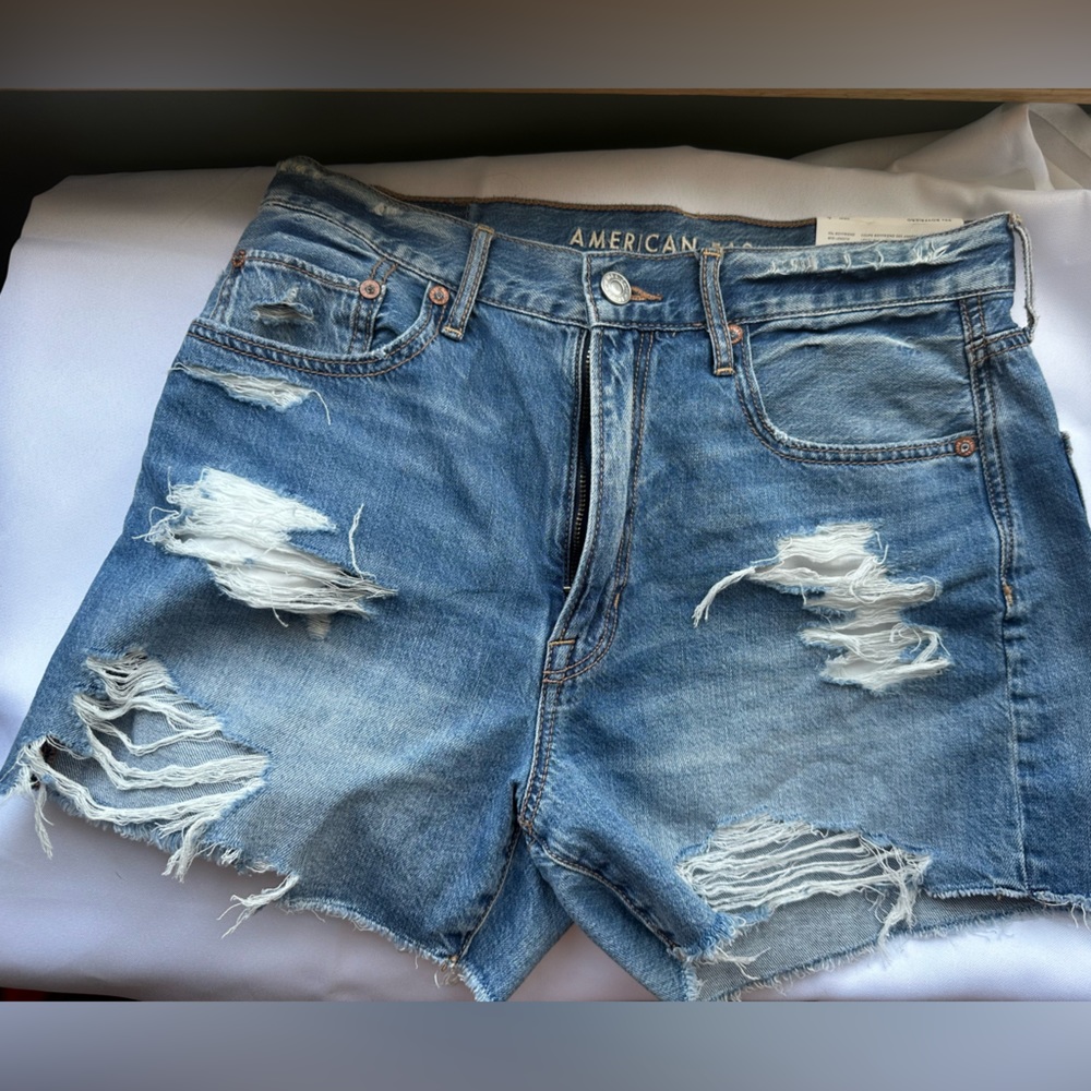 NWT American Eagle 90s Boyfriend Short size 6/28